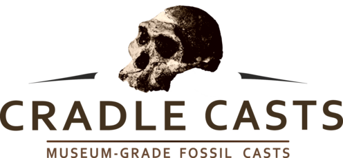 cradlecasts.co.za